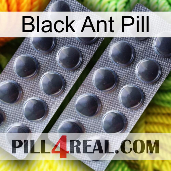 Black Ant Pill 31.jpg